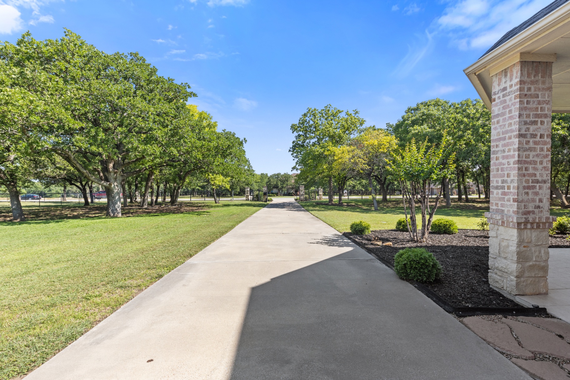 Driveway lined with mature oaks