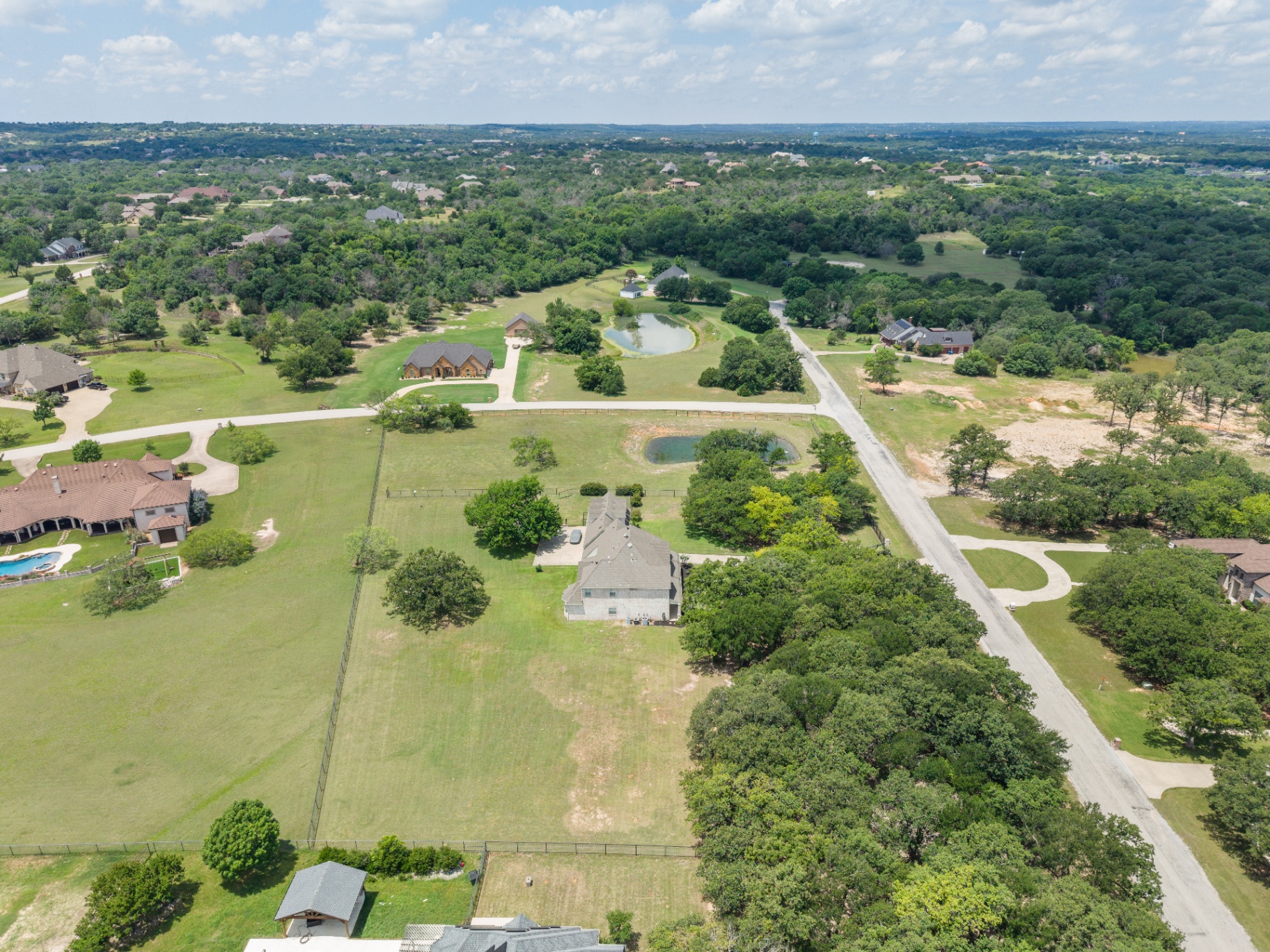 Aerial of mature tree canopy